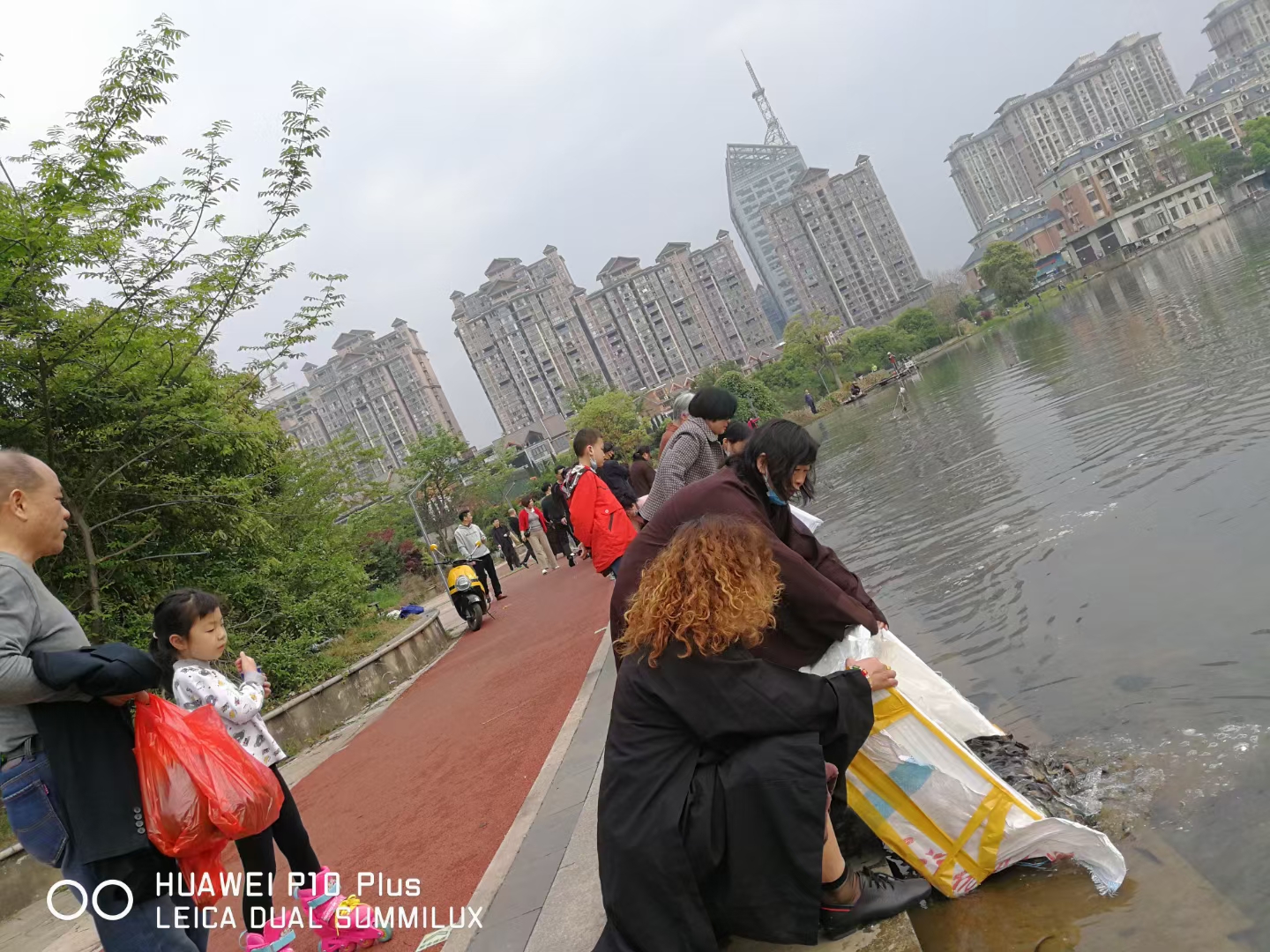 天游8线路检测中心准提菩萨圣诞日法会通启