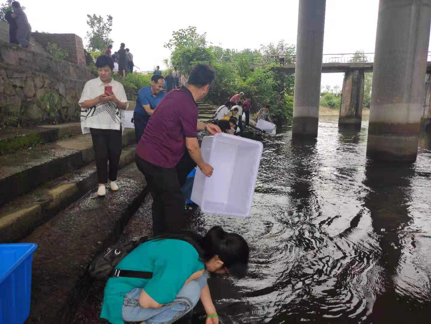 天游8线路检测中心6月24日放生法会圆满